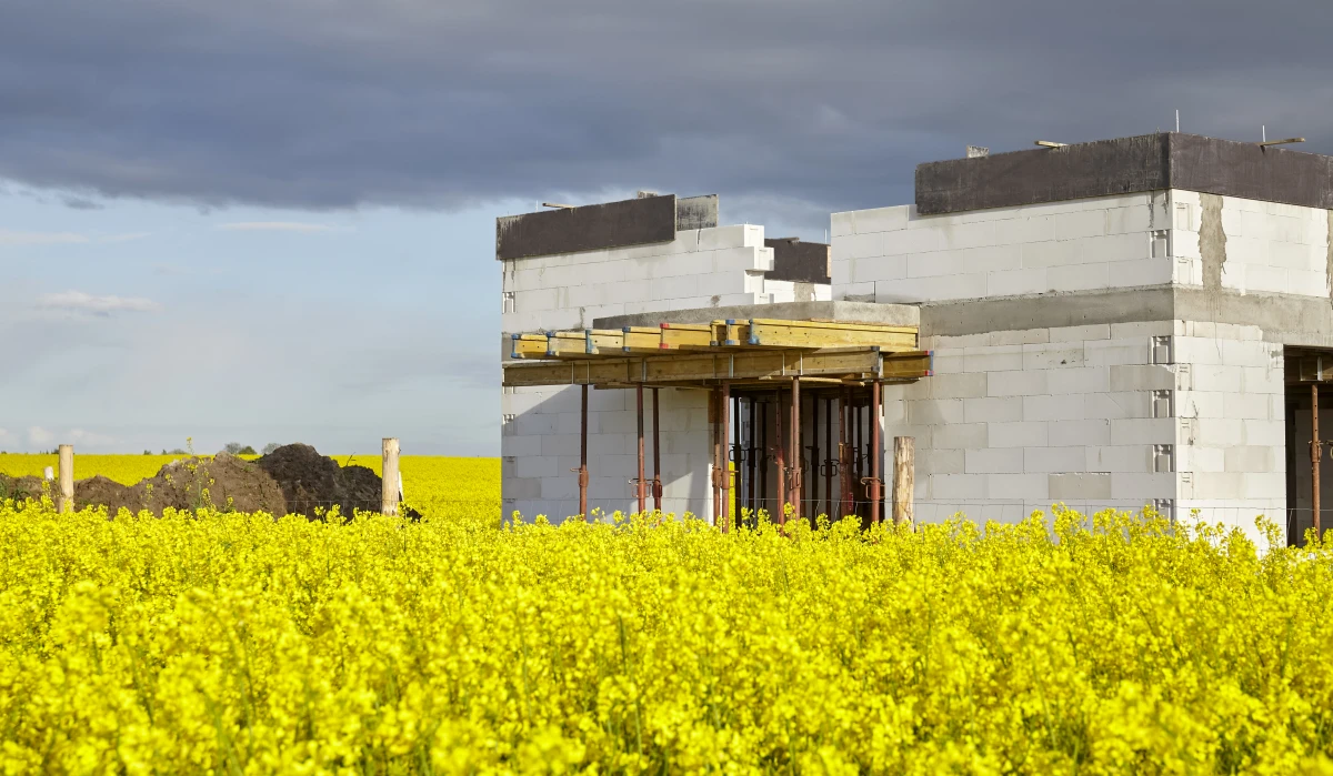 L'essor de l'immobilier rural : une opportunité en or pour les investisseurs avisés