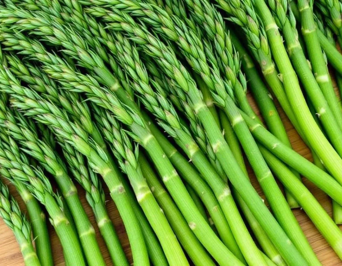 Guide Complet pour Maîtriser la Cuisson des Asperges Vertes : Astuces et Techniques